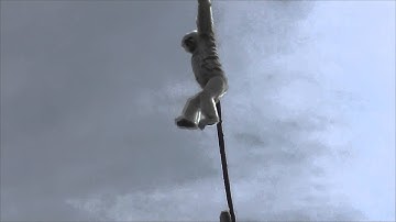 Gibbon High Wire Act Stops To Scratch An Itch