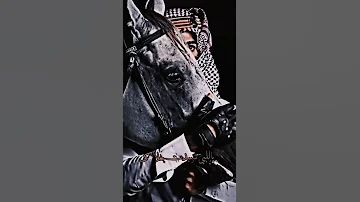 شيلة يامرحبا والفين هلا 