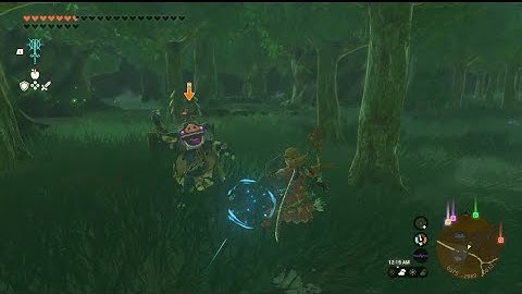 SBR (shield block reset) TotK how to is in the description