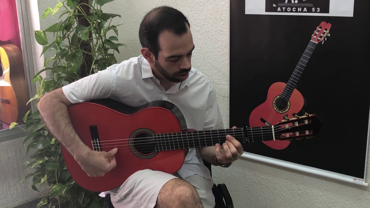 Guitarra Conde Atocha Mod.N.8 palosanto