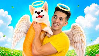 Do Puppies Go To Heaven When They Die