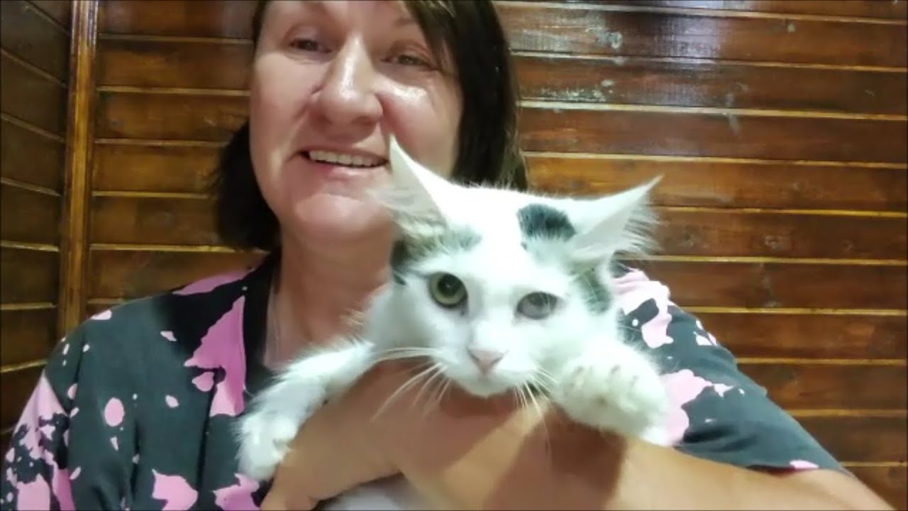 Что же делать с забором Как его отремонтировать - YouTube