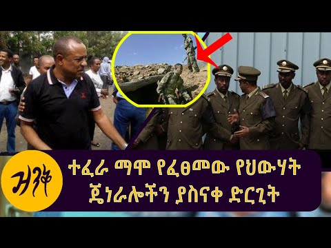 ቪዲዮ: በኬንት ሮጎውስኪ ውስጥ የቴዲ ድቦች