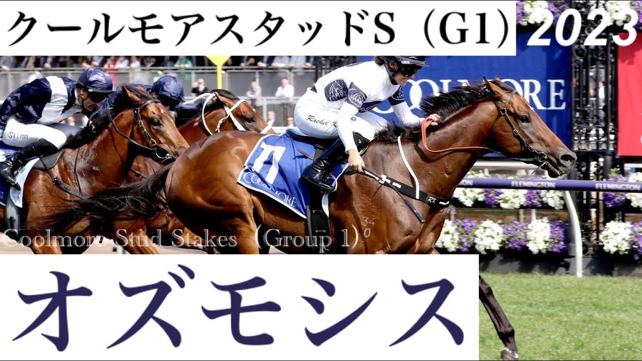 クールモアスタッド 競馬