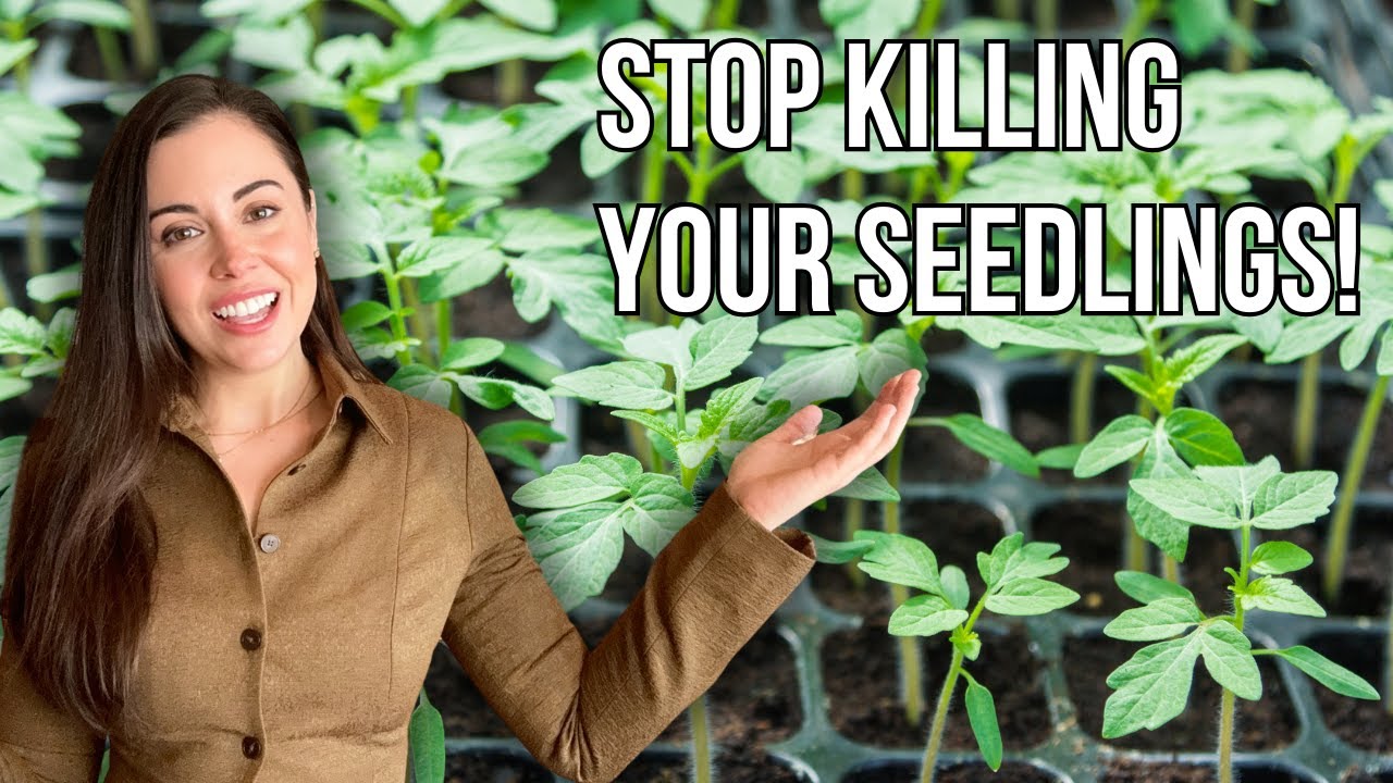 9 распространенных ошибок при посеве семян и как их избежать! 🌱