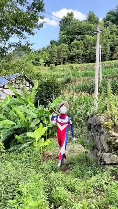 Ultramen mau macul di ladang #petani #kocak #ngakak