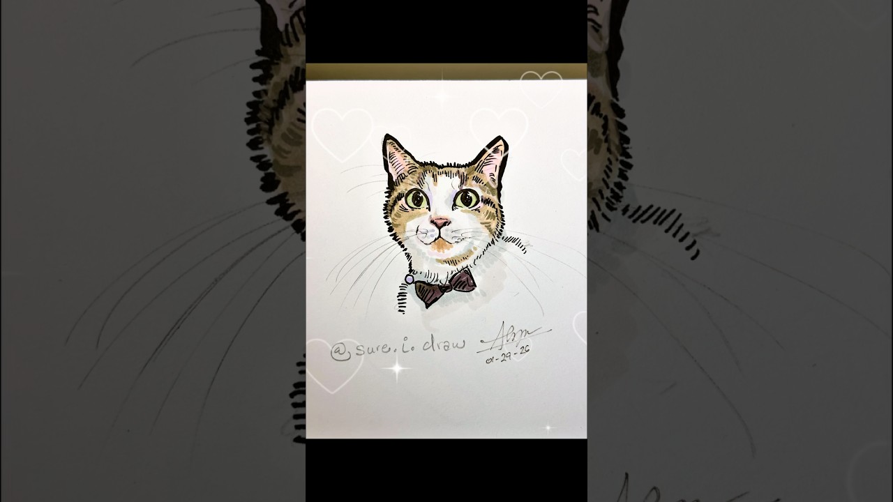 Drawing Apollo 🐈💕Order a pet portrait! You pick the price ✨