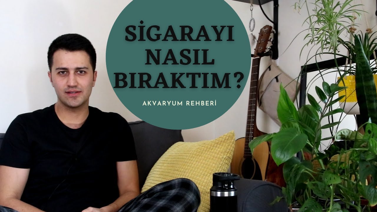 habibler escortlar eşcinseller boyun morartma