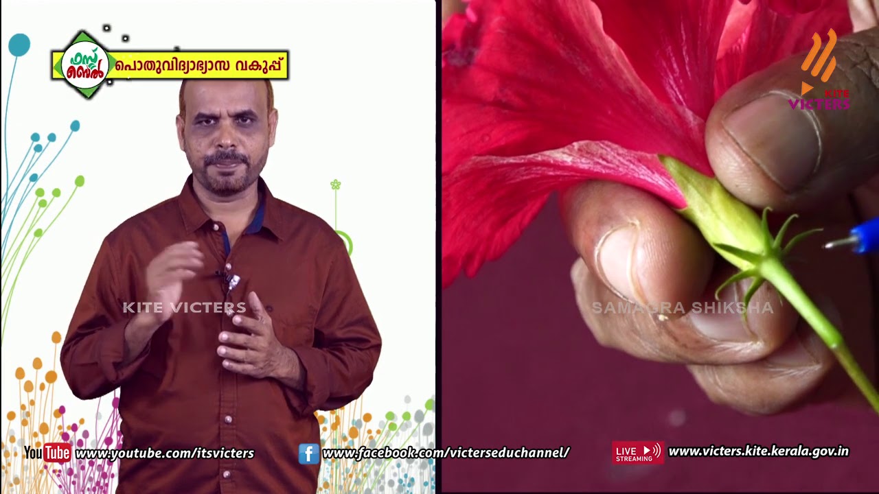 KITE VICTERS STD 06 Basic Science Class 09 (First Bell-ഫസ്റ്റ് ബെല്‍)