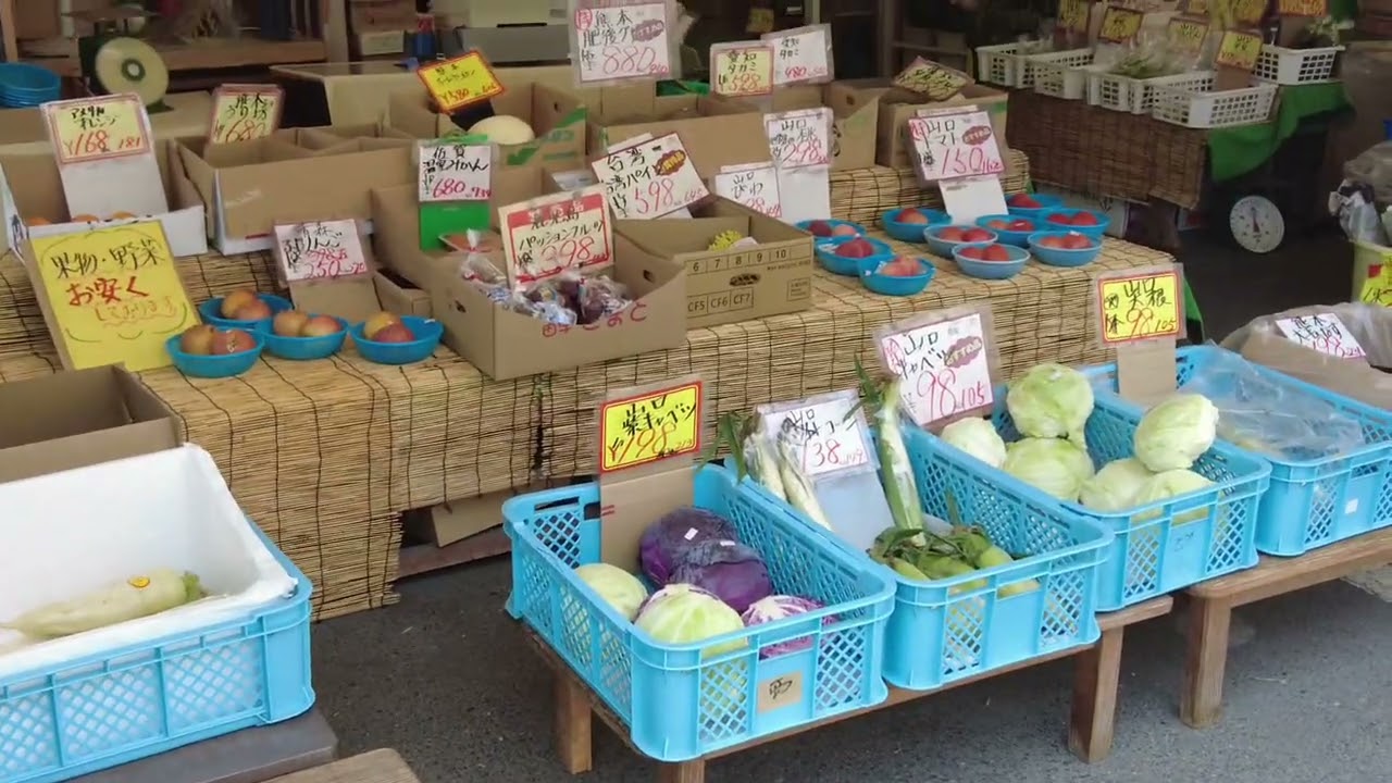 岩国市　大名小路近辺　　記録用　令和7年６月３０日撮影　【山口県岩国市】