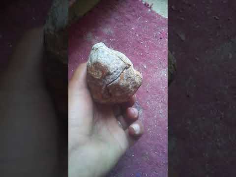 فيديو: هل الماس صخرة ام معدن؟