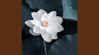 Om Mani Padme Hum