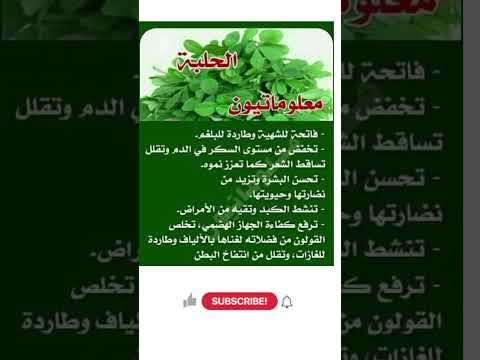 فوائد الحلبة للجسم وللجهاز الهضمي فوائد الحلبة مشروبات صحية علاجات طبيعية الجهاز الهضمي 