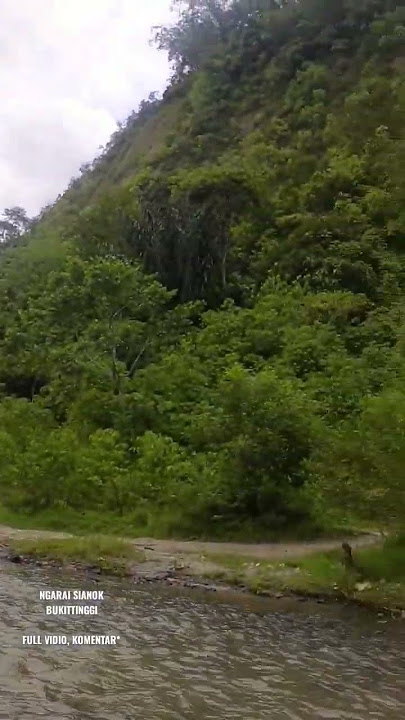 Lembah Terindah‼️ Ngarai Sianok | walking tour Sumatera Barat