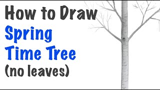 Draw a Spring Time Tree - tutorial with instruction