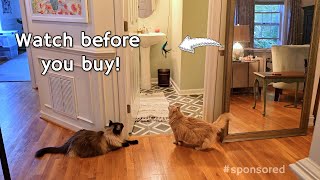 Interactive Hanging Cat Toy for Indoor Cats by Feelneedy Demo