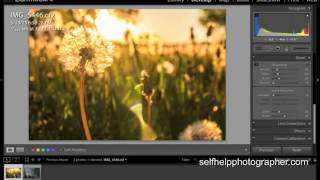 How to Process a RAW Photo Using Adobe Lightroom | Short Version