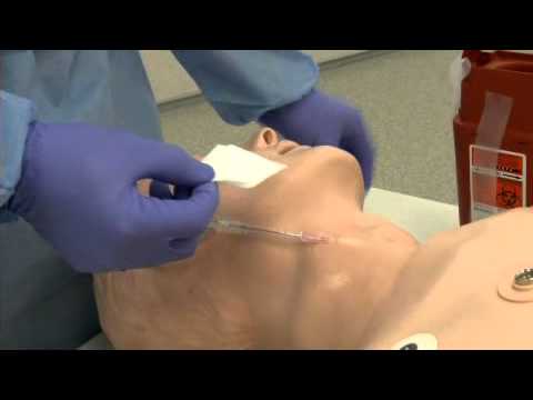 Infusion EJ - Infusion EJ
