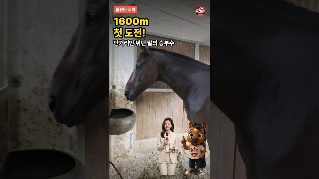 단거리만 뛰던 새 식구, 1600m 첫 도전! 이신우 조교사의 승부수 🐴 #shorts