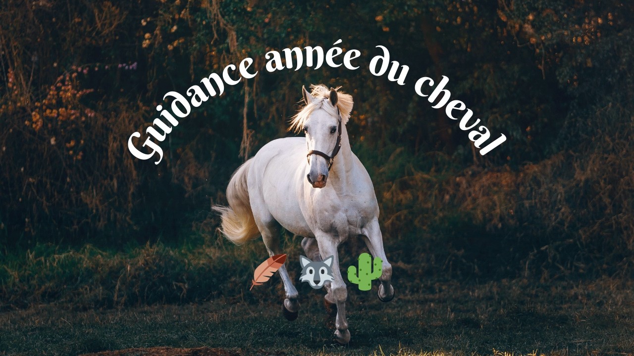 Guidance année du cheval
