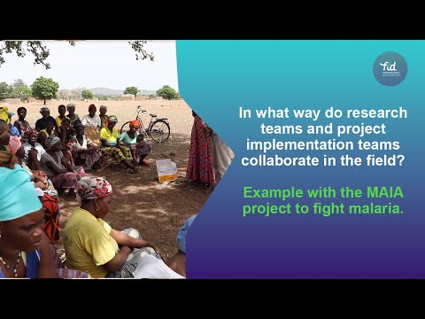Research–project team collaboration: an example with a malaria control project