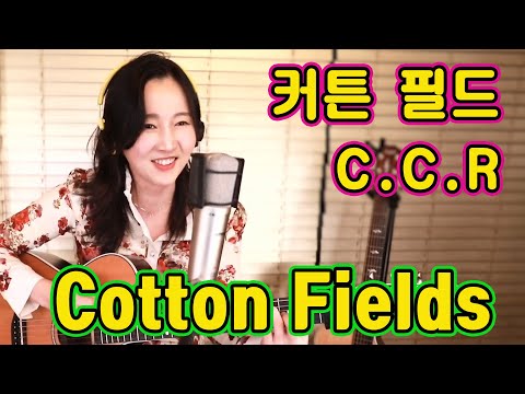 Cotton Fields (Leadbelly) | Playing For Change | Song Around The World