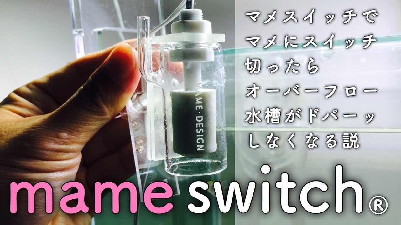 mame switch®︎ マメスイッチでマメにスイッチ切ったらオーバーフロー水槽がドバーッしなくなる説