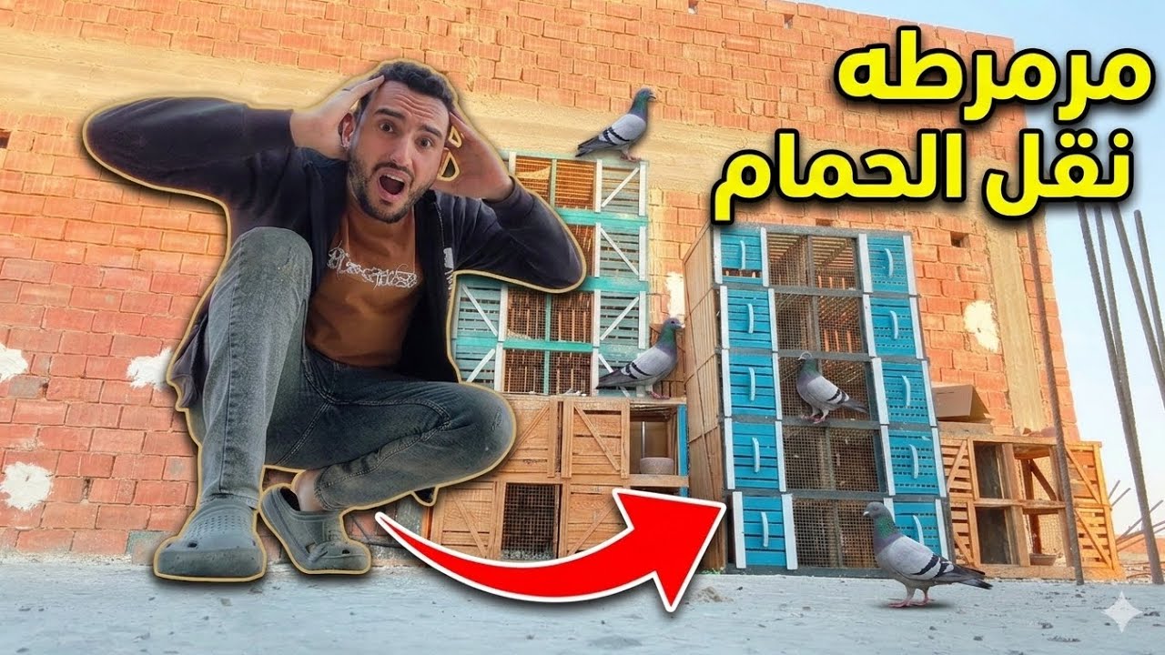 خلصت مكان الحمام الجديد 😯وبدات في تجهيز  نقله! 