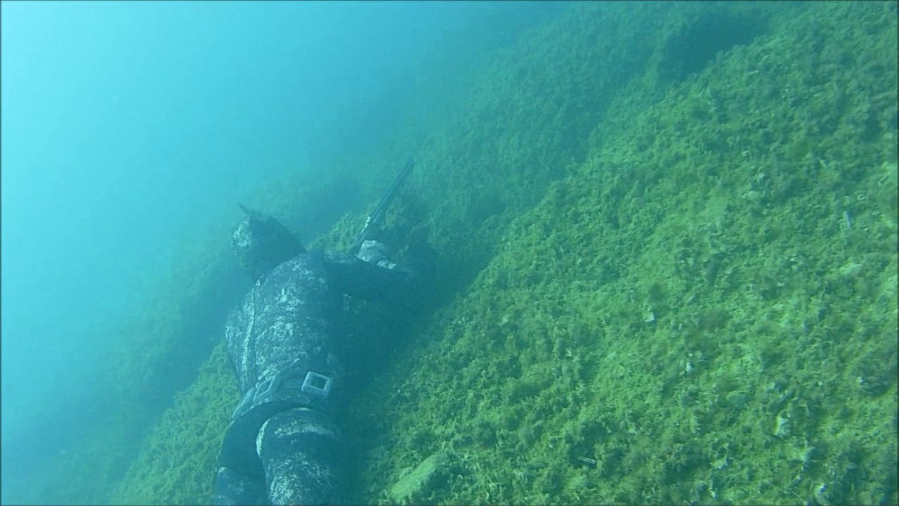 Apneapassion on Tour by Seac - Brindisi