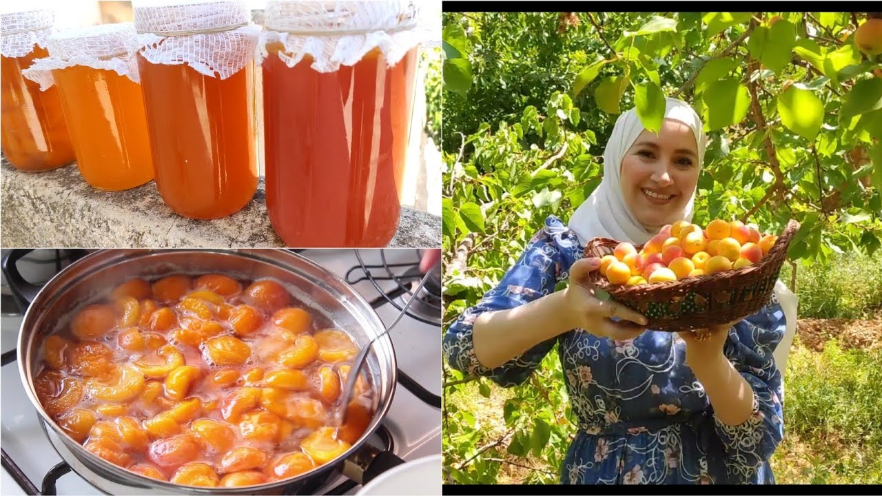 مربى المشمش بكل اشكالو وطرقو وبالتفصيل