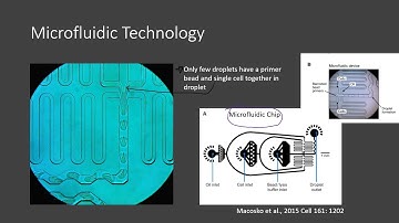 Drop-seq Video Aranya Nagar