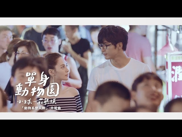 Watch 小球-莊鵑瑛《單身動物園》Official MV(都市練愛劇【動物系戀人啊】片尾曲) on YouTube Watch 小球-莊鵑瑛《單身動物園》Official MV(都市練愛劇【動物系戀人啊】片尾曲) on YouTube