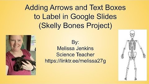 Adding Arrows and Text Boxes to Label in Google Slides (Skelly Bones Project)