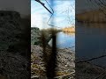 Весна и утки #весенняяохота #загоннаяохота