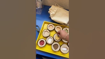 Check out our preschool science center 🔬✨ We’re in our Five Senses theme, and I set it up with