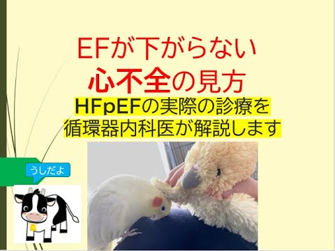 EFが下がらない心不全の見方(HFpEFの実際の診療を循環器内科医が解説します)