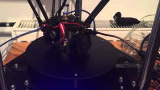 Afinibot A1 (Rostock Delta mini Pro) first Movements