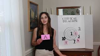 Me as a CBE teacher... Cervix CBE Game - Pin The Term On The Cervix! Me as a CBE teacher... Cervix CBE Game - Pin The Term On The Cervix!