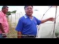 China driving agricultural development in Samoa