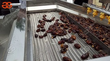 date palm washing cleaning machine|date process machine