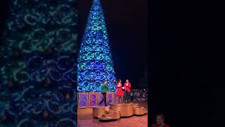 Hongkong disneyland xmas2018 - a dream come true xmas tree lighting
(15/11/2018)