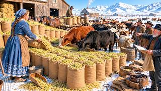 Details She Bought 60 Sacks of Sprouted Oats for $15—Her Herd Was the Only One Alive by Spring Update