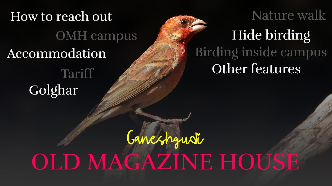 Old Magazine House - Ganeshgudi | Bird watching in Karnataka | JLR Karnataka