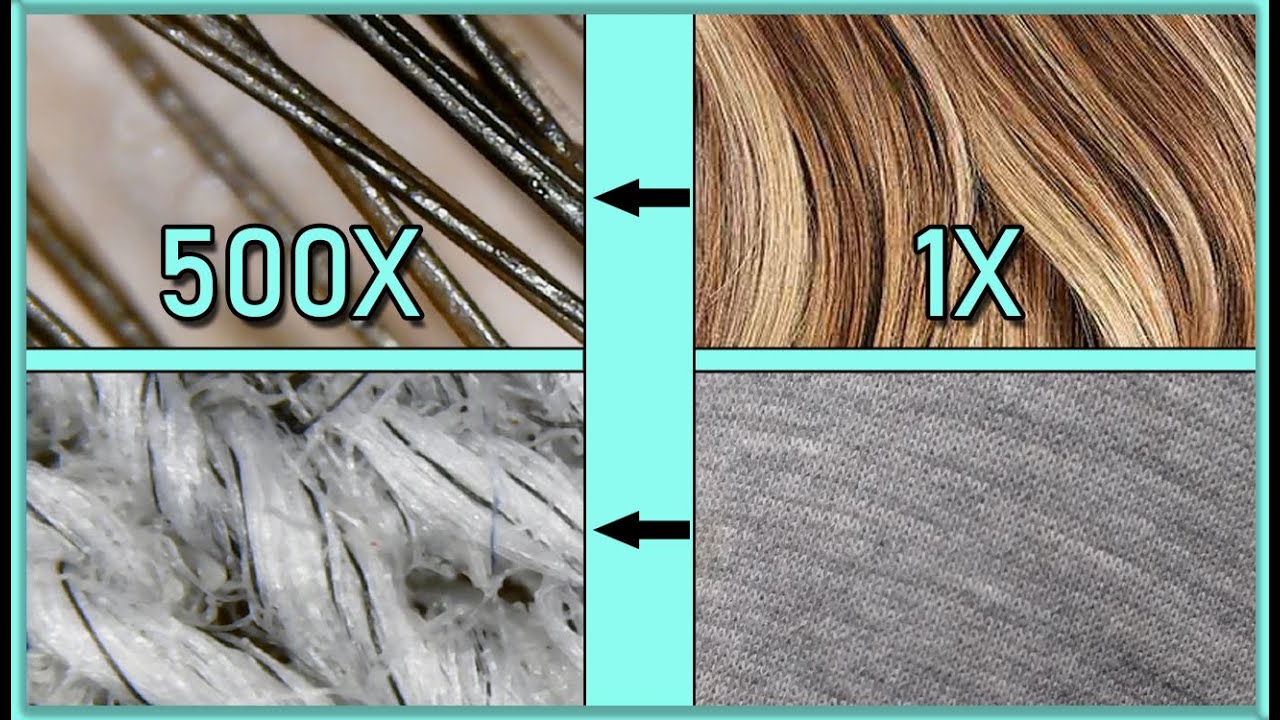 Hair,Textile... Zoomed 500 Times?! (Microscope) YouTube