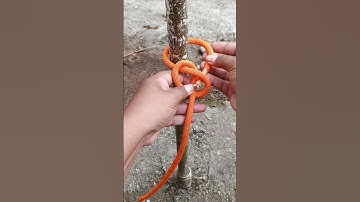 “Easiest Rope Knot You’ll Learn in Seconds!” #knot #diy #shorts