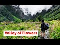 Valley of flowers trek  uttarakhand  heaven on earth