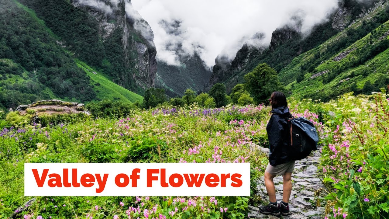 Valley of Flowers Trek  Uttarakhand  Heaven on Earth