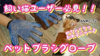 【猫ユーザー必見！！】スゴイ取れるニャー♪ペットブラシグローブ【Amazon】