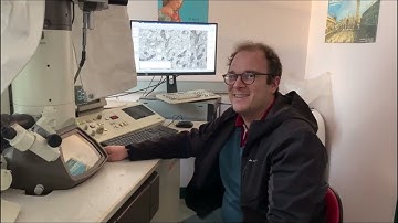 Live-Cell Imaging to High Pressure Freezing by CryoCapCell in 90s