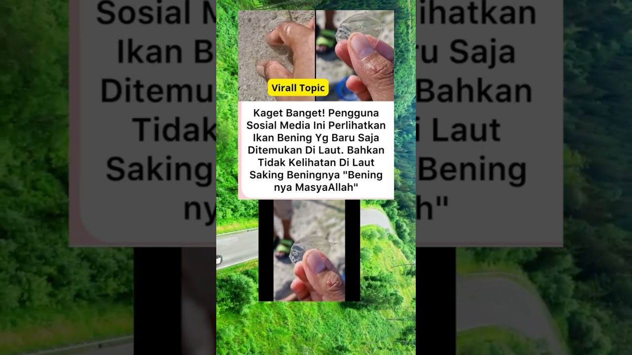 Viral ditemukan ikan bening yang hampir tak terlihat 